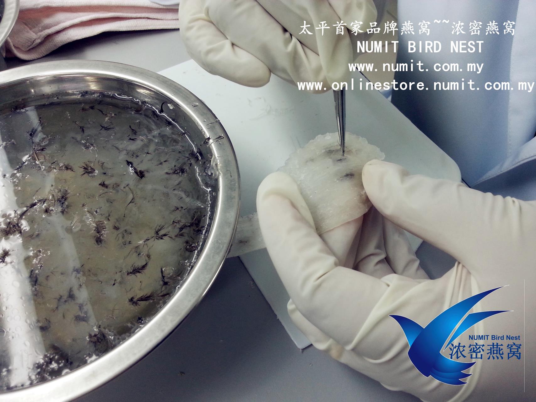 NUMIT GROUP SOLUTION PROVIDER IN ENGINEERING, BIRD NEST AND ITS