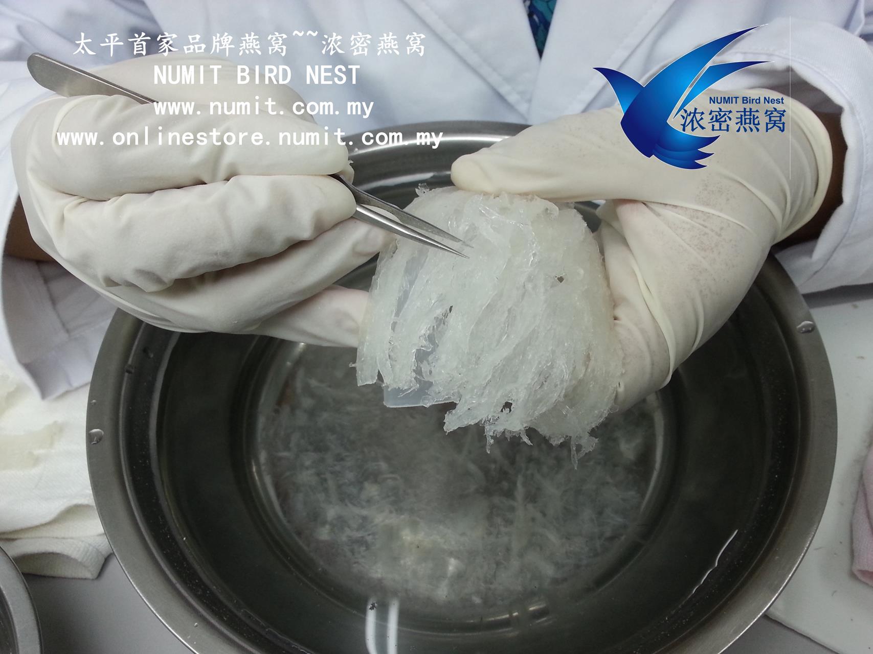 NUMIT GROUP SOLUTION PROVIDER IN ENGINEERING, BIRD NEST AND ITS